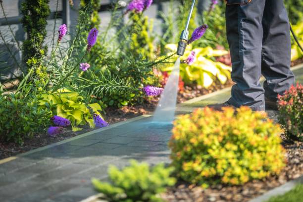 Best Pool Deck Cleaning  in Peotone, IL