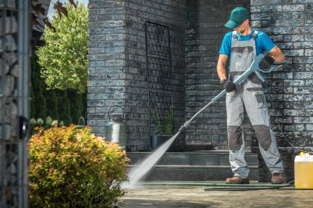 Best Animal Enclosure Cleaning  in Peotone, IL