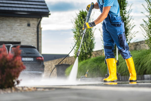 Best Dumpster Area Cleaning  in Peotone, IL